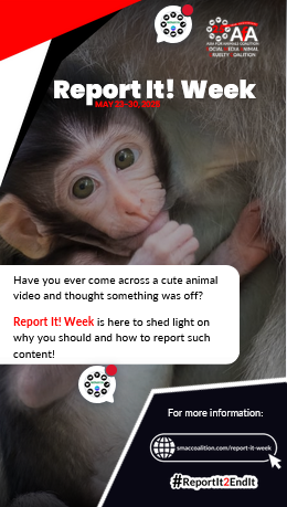 Report It Week
