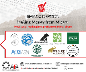 SMACC Report: Making money from misery