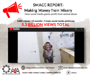 SMACC monkey abuse on social media