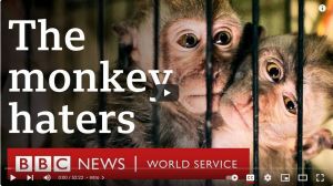 BBC: The monkey haters