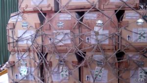 Air France transit crates filled with long-tailed macaques; Cruelty Free International
