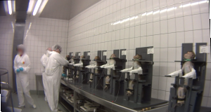 Long-tailed macaques at German testing laboratory, 2019; SOKO Tierschutz/Cruelty Free International