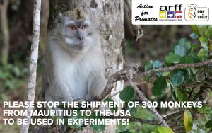 Stop primate shipment