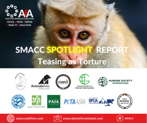 SMACC Teasing as Torture report group logos