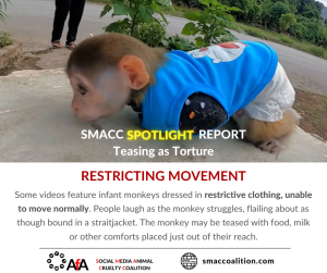 Restricting movement abuse; SMACC