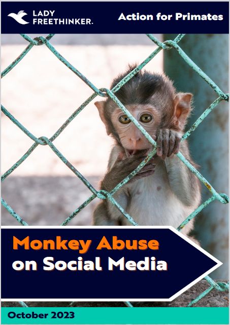 Caught on cam: Global investigation uncovers 'sadistic monkey torture' of  baby macaques